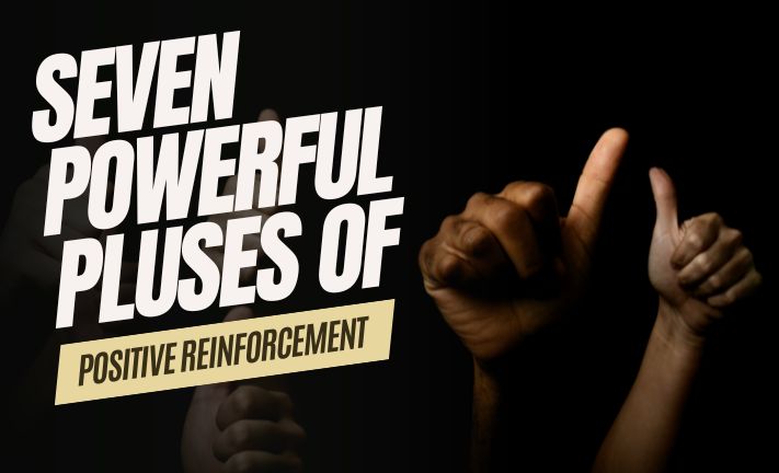 Seven Powerful Pluses of Positive Reinforcement